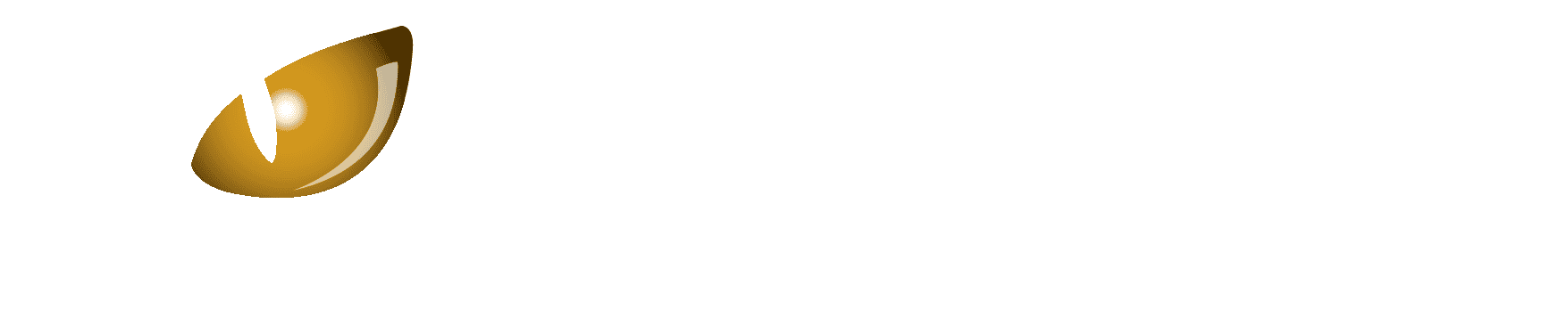 Nockturnal by Rage Logo