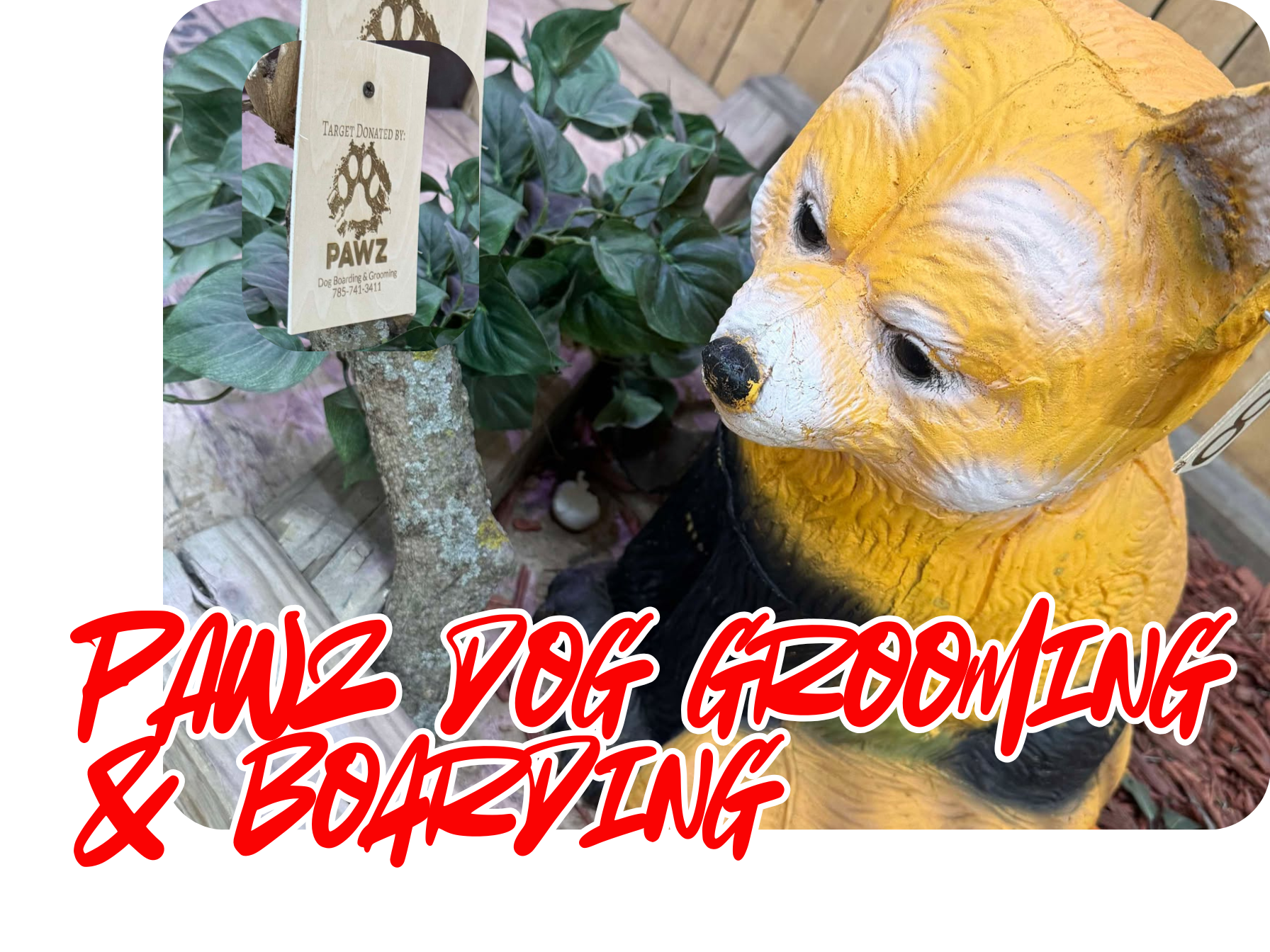 Pawz Dog Grooming & Boarding