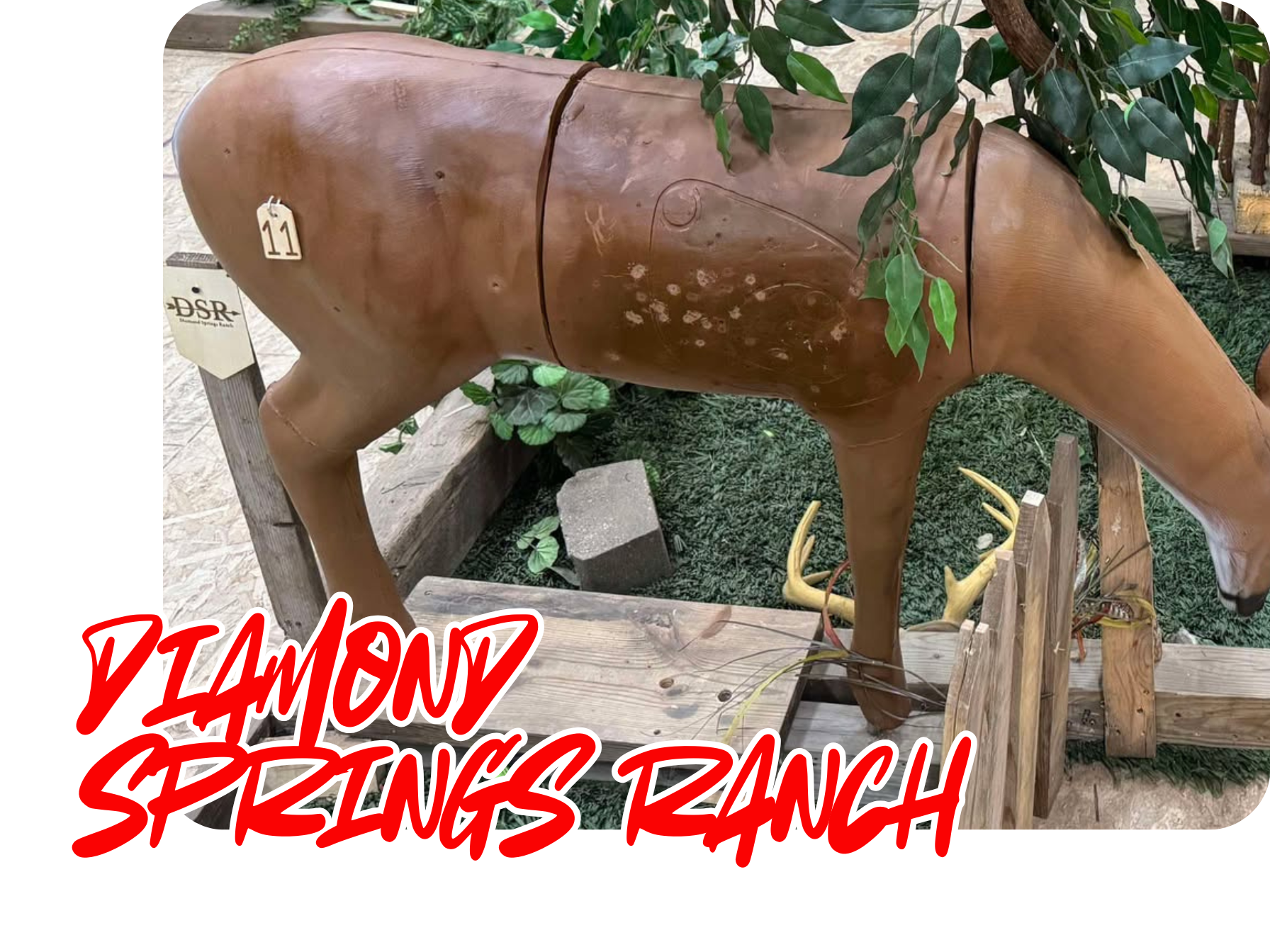 Diamond Springs Ranch
