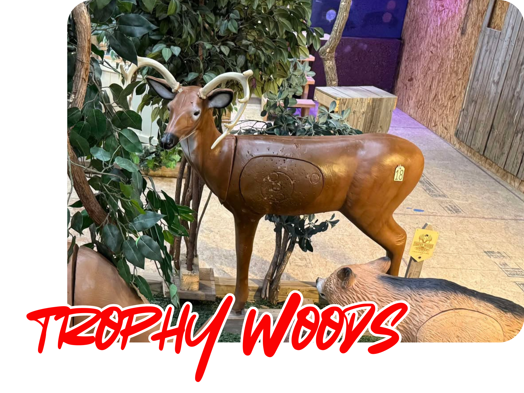 Trophy Woods