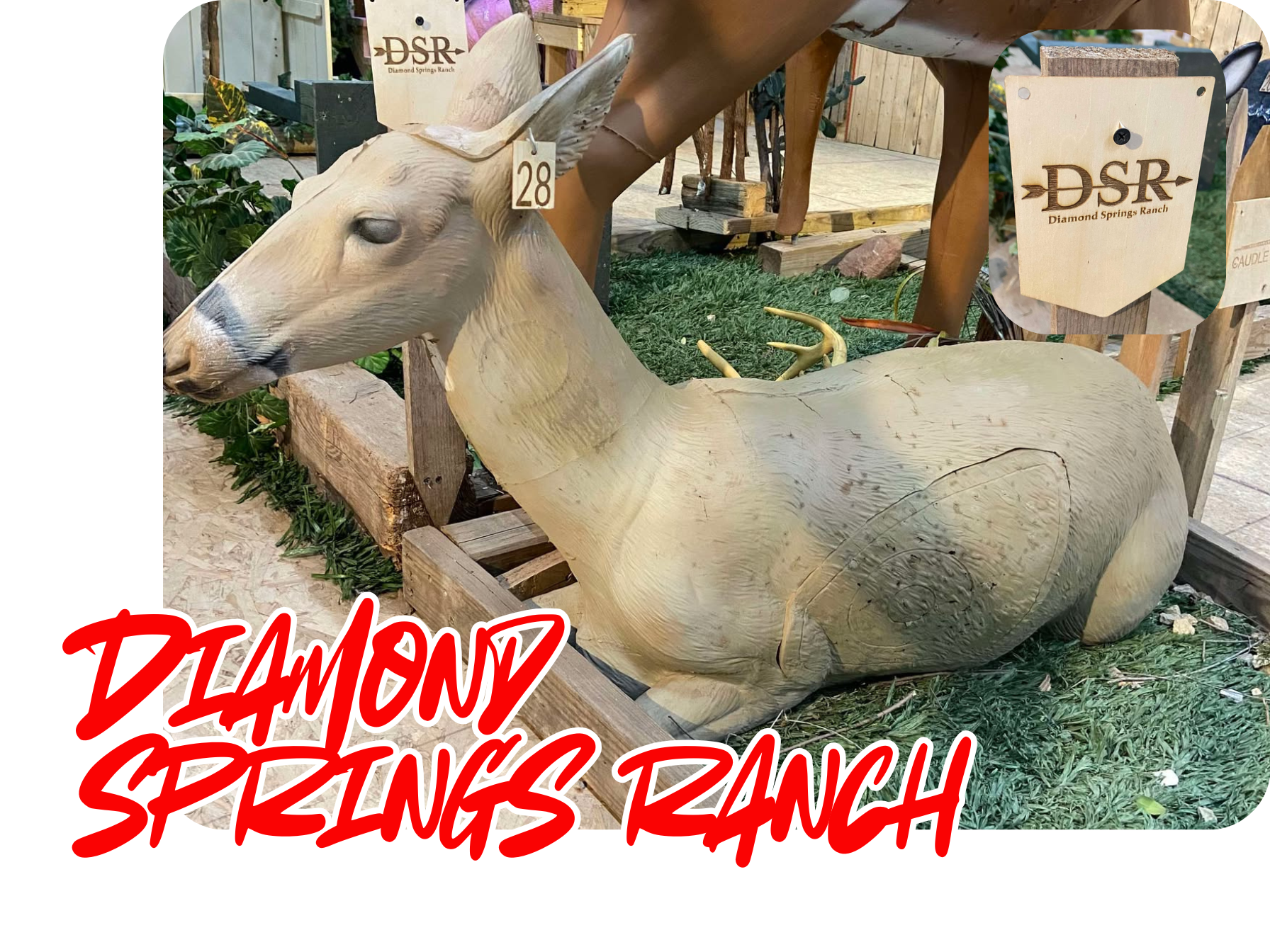 Diamond Springs Ranch